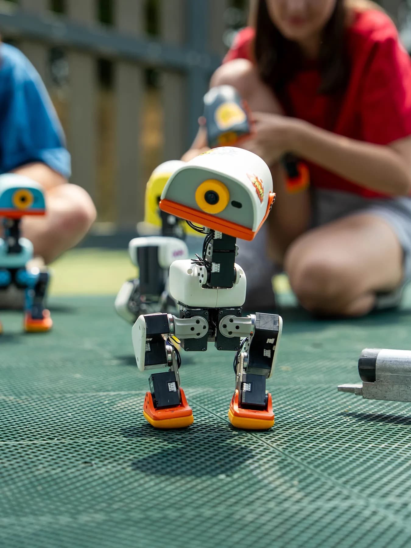 Microduck walking